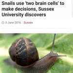 Snails Use Two Brain Cells