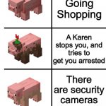 Pig, Muddy Pig, and Dirty Pig | Going Shopping; A Karen stops you, and tries to get you arrested; There are security cameras | image tagged in pig muddy pig and dirty pig | made w/ Imgflip meme maker