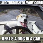 Dog in car | YOU SCROLLED THROUGH TO MANY CORONA MEMES; HERE’S A DOG IN A CAR | image tagged in dog in car | made w/ Imgflip meme maker