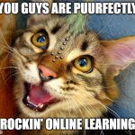 Rocking online learning | YOU GUYS ARE PUURFECTLY; ROCKIN' ONLINE LEARNING | image tagged in punk cat | made w/ Imgflip meme maker