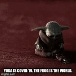 Diz is true | YODA IS COVID-19. THE FROG IS THE WORLD. | image tagged in gifs,funny | made w/ Imgflip video-to-gif maker