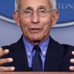 Dr. Anthony fauci
