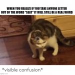 visible confusion | WHEN YOU REALIZE IF YOU TAKE ANYONE LETTER OUT OF THE WORD "SEAT" IT WILL STILL BE A REAL WORD | image tagged in visible confusion | made w/ Imgflip meme maker