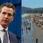 Gavin Newsom