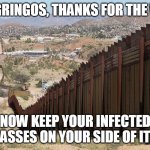 And we're still not paying for it, naranja loco | HEY GRINGOS, THANKS FOR THE WALL; NOW KEEP YOUR INFECTED ASSES ON YOUR SIDE OF IT | image tagged in border wall 02 | made w/ Imgflip meme maker