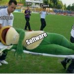 Software Development | Sale; Client; Developer; QA; Software | image tagged in injured frog,software,development,technology,programmers | made w/ Imgflip meme maker