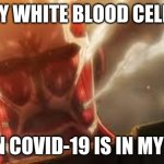Attack on titan | MY WHITE BLOOD CELLS; WHEN COVID-19 IS IN MY BODY | image tagged in attack on titan | made w/ Imgflip meme maker