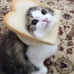 Sad bread