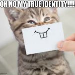 True Identity Cat | OH NO MY TRUE IDENTITY!!!! | image tagged in true identity cat,funny memes | made w/ Imgflip meme maker