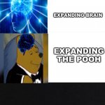 Expanding The Pooh | TUXEDO WINNIE THE POOH; EXPANDING BRAIN; EXPANDING THE POOH | image tagged in 2 memes in 1 | made w/ Imgflip meme maker