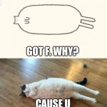 Cat | DREW CAT AT CLASS, GOT F. WHY? CAUSE U FORGOT THE TAIL | image tagged in cat | made w/ Imgflip meme maker