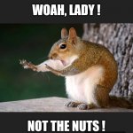 Not happening | WOAH, LADY ! NOT THE NUTS ! | image tagged in squirreling,nuts,woah,just say no,squirrel nuts,memes | made w/ Imgflip meme maker