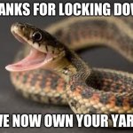 I warned ya | THANKS FOR LOCKING DOWN; WE NOW OWN YOUR YARD | image tagged in warning snake,i warned you,saw three so far this year,watch when you go out,nature is back,happy snake | made w/ Imgflip meme maker