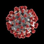 Hella coronavirus