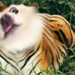 By ANTHONY JOSEPH BONGIARDINA