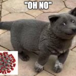 The Oh No Dui Dog | "OH NO" | image tagged in the oh no dui dog | made w/ Imgflip meme maker