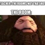 PS1 Hagrid | TEACHER: THE ROOMS NOT THAT HOT; THE ROOM: | image tagged in ps1 hagrid | made w/ Imgflip meme maker