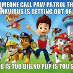 Paw Patrol | SOMEONE CALL PAW PATROL,THIS CORONAVIRUS IS GETTING OUT OF HAND NO JOB IS TOO BIG,NO PUP IS TOO SMALL | image tagged in paw patrol,meme,funny,nice | made w/ Imgflip meme maker