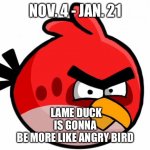 Angry Bird | NOV. 4 - JAN. 21; LAME DUCK IS GONNA
BE MORE LIKE ANGRY BIRD | image tagged in angry bird | made w/ Imgflip meme maker