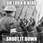 ww2 | OH LOOK A BIRD; SHOOT IT DOWN | image tagged in ww2 | made w/ Imgflip meme maker