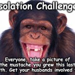 monkey | Isolation Challenge:; Everyone, take a picture of the mustache you grew this last month. Get your husbands involved too. | image tagged in monkey | made w/ Imgflip meme maker