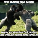 Gorilla fight | Tired of dating them Gorillas; I wanna see about them Poetry writing, make love in the rain, holding hands type of humans | image tagged in gorilla fight | made w/ Imgflip meme maker