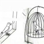 Bird in a cage