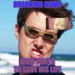 lazerbeam | BREAKING NEWS; BIRD PRAYS TO SAVE HIS LIFE | image tagged in lazerbeam | made w/ Imgflip meme maker