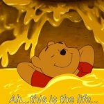 Pooh Hunny Relaxation | Ah...this is the life... | image tagged in pooh hunny relaxation | made w/ Imgflip meme maker