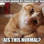 oooooops typo | MY HEARTBEAT AROUND MY CRUSH BE LIKE: 9000 MPH AIS THIS NORMAL? | image tagged in curious question cat,oops typo,crush | made w/ Imgflip meme maker