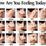 Cat meme feelings chart