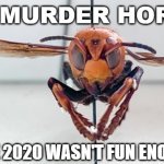 Murder Hornet | THE MURDER HORNET; BECAUSE 2020 WASN'T FUN ENOUGH YET! | image tagged in murder hornet,2020 | made w/ Imgflip meme maker