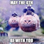 star wars cats | MAY THE 4TH; BE WITH YOU | image tagged in star wars cats | made w/ Imgflip meme maker