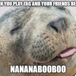 Nananabooboo Seal | WHEN YOU PLAY TAG AND YOUR FRIENDS BE LIKE; NANANABOOBOO | image tagged in funny seal,funny animals,tag,friends | made w/ Imgflip meme maker