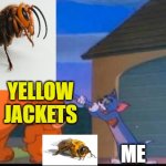 AAHHH!!!!!!!!!!! Outta My Way Can't You See He's Gonna Kick My Butt?! | YELLOW JACKETS; ME | image tagged in tom and jerry,south carolina,bees,yellow jacket,murder hornet | made w/ Imgflip meme maker