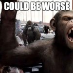 Planet of the apes | COULD BE WORSE | image tagged in planet of the apes | made w/ Imgflip meme maker