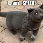 The Oh No Dui Dog | I... am... SPEED! | image tagged in the oh no dui dog | made w/ Imgflip meme maker