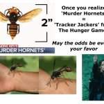 Murder hornets = tracker jackers | image tagged in murder hornets  tracker jackers,murder hornets,tracker jackers,hunger games,everything is trying to kill you | made w/ Imgflip meme maker