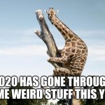 Scared Giraffe | 2020 HAS GONE THROUGH SOME WEIRD STUFF THIS YEAR | image tagged in scared giraffe,2020 | made w/ Imgflip meme maker