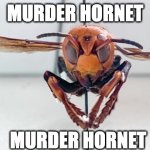 murder hornet what sins will he commit | MURDER HORNET; MURDER HORNET | image tagged in murder hornet | made w/ Imgflip meme maker