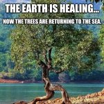 The Earth is Healing | THE EARTH IS HEALING... NOW THE TREES ARE RETURNING TO THE SEA. | image tagged in the earth is healing | made w/ Imgflip meme maker