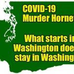 Now we know why their state motto is Bye Bye (just kidding) | COVID-19
Murder Hornet; What starts in Washington doesn’t stay in Washington | image tagged in washington state,covid-19,murder hornet | made w/ Imgflip meme maker