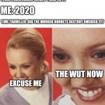 Muder hornet | TIME TRAVELLER: WHAT YEAR IS IT; ME: 2020; TIME TRAVELLER: DID THE MURDER HORNETS DESTROY AMERICA YET; THE WUT NOW; EXCUSE ME | image tagged in face zoom in | made w/ Imgflip meme maker