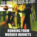 RUN B**CH RUN!!!! | RUNNING FORM MURDER HORNETS | image tagged in me and the boy at 2am x,murder hornet | made w/ Imgflip meme maker