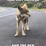 Road Coyote | WHEN YOU'RE HALFWAY ACROSS; AND THE RED HAND APPEARS | image tagged in road coyote | made w/ Imgflip meme maker