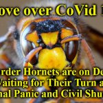 hornet | Move over CoVid 19; Murder Hornets are on Deck 
Waiting for Their Turn at 
National Panic and Civil Shutdown | image tagged in hornet | made w/ Imgflip meme maker