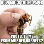 The question we're all afraid to ask | HOW MUCH TOILET PAPER; PROTECTS ME FROM MURDER HORNETS? | image tagged in murder hornet | made w/ Imgflip meme maker