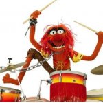 animal drums | image tagged in animal drums | made w/ Imgflip meme maker