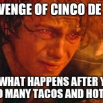 Injured Anakin Skywalker | THE REVENGE OF CINCO DE MAYO... IS WHAT HAPPENS AFTER YOU EAT TOO MANY TACOS AND HOT SAUCE. | image tagged in injured anakin skywalker,tacos,cinco de mayo,revenge of the sith,taco | made w/ Imgflip meme maker