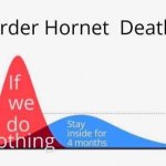 Murder Hornet Deaths